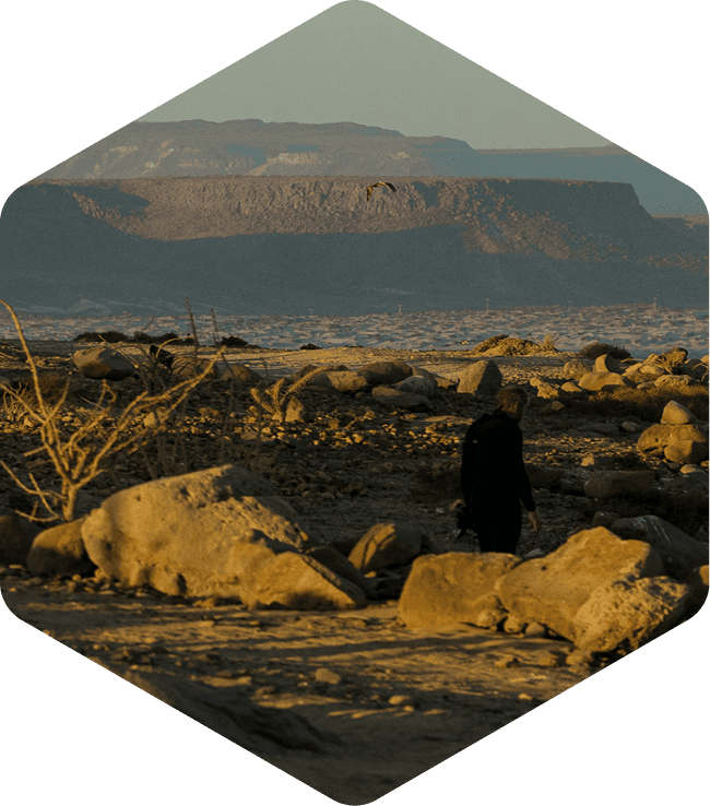 Early access to new products