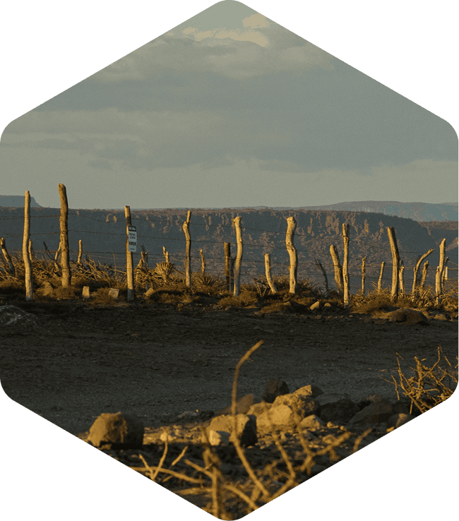 Free shipping on all orders